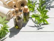 U.S. Securities and Exchange Commission acusa empresa de cânhamo de fraude