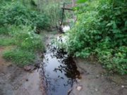 JORNAL DE FEIRA DE SANTANA NA BAHIA: “ATERRO SANITÁRIO DA SUSTENTARE COMETE CRIME AMBIENTAL”