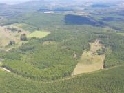 DIA 8 DE MARÇO TAQUARI NO TERCEIRO VALE MAIS FÉRTIL DO MUNDO PODE FICAR LIVRE DO FAMIGERADO ATERRO SANITÁRIO