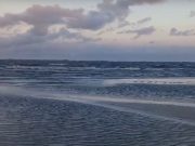 OSCIP AÇÃO AMBIENTAL: LAGOA VIVA, SEM CHORUME! Movimento de Preservação da Lagoa dos Barros no Rio Grande do Sul