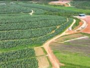 RELATÓRIO DE IMPACTO AMBIENTAL DE 7 ATERROS SANITÁRIOS DA LAVORARE SERVIÇOS S.A. NÃO CONSIDEROU AS ATIVIDADES DE BANANICULTURA E AVICULTURA EM SÃO JOÃO DO ITAPERIÚ/SC