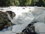 TRAGÉDIAS ANUNCIADAS EM CORPOS HÍDRICOS DO MEIO AMBIENTE DE SANTA CATARINA NO BRASIL