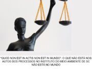 “QUOD NON EST IN ACTIS NON EST IN MUNDO”: O QUE NÃO ESTÁ NOS AUTOS DOS PROCESSOS NO INSTITUTO DO MEIO AMBIENTE DE SC NÃO ESTÁ NO MUNDO