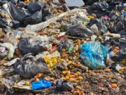 LIXO DA ENCHENTE DE PORTO ALEGRE, DE SAÚDE, INDUSTRIAIS, DOMICILIARES DESCARREGADOS NO LIXÃO DA VOLUNTÁRIOS, E O DMLU DIZ QUE SÃO INERTES