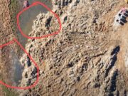 LIXOS CONTAMINADOS DAS ENCHENTES DE PORTO ALEGRE E DE CANOAS SÃO DESCARREGADOS NO SOLO EM CIMA DE BANHADO EM GRAVATAÍ