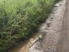 COLAPSOU O EMISSÁRIO SUBTERRÂNEO DE EFLUENTES NO MUNICÍPIO DE SÃO JOÃO DO ITAPERIU E PODE TER CAUSADO DANOS AMBIENTAIS